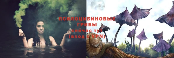 тгк Кодинск