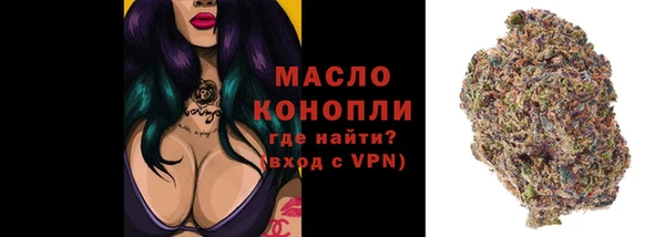 дмт Козловка