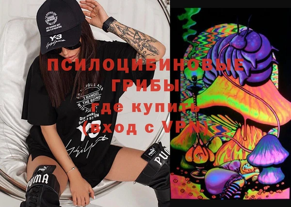дмт Козловка